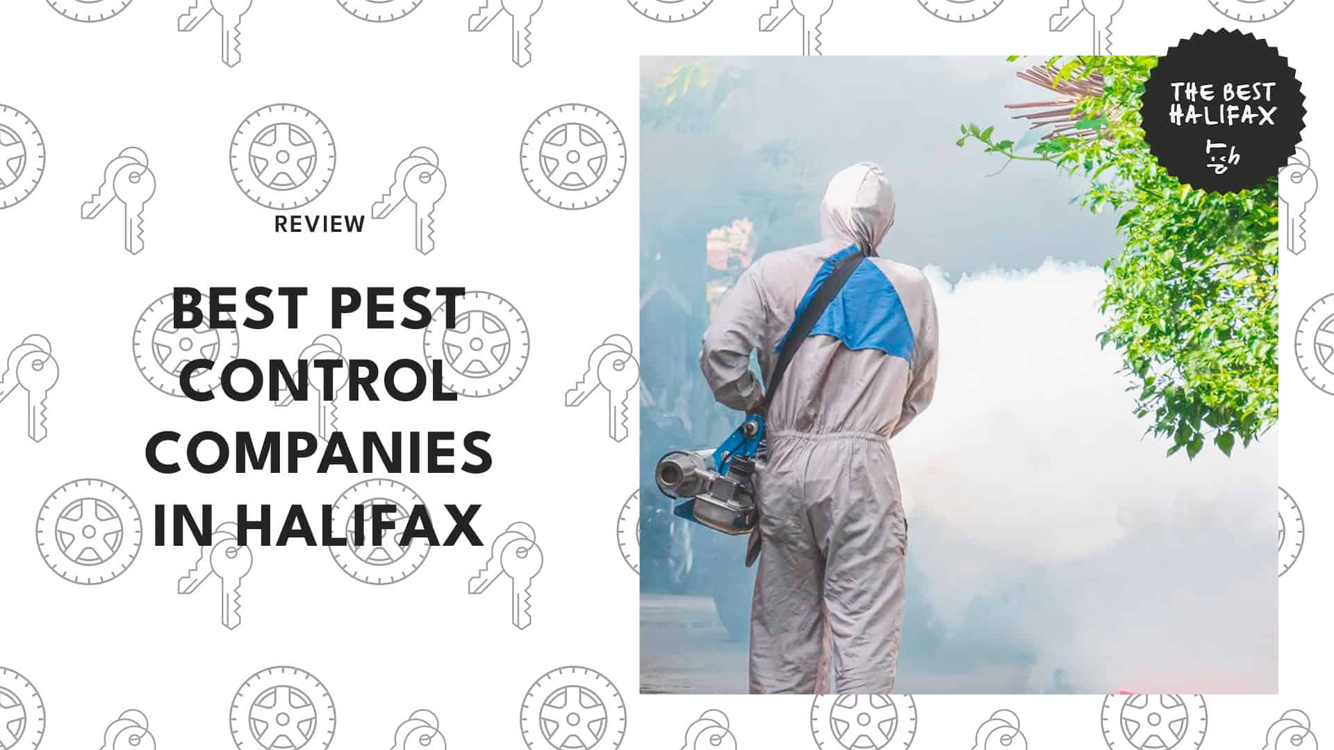 The top pest control companies in Halifax face off in our battle against pesky invaders!