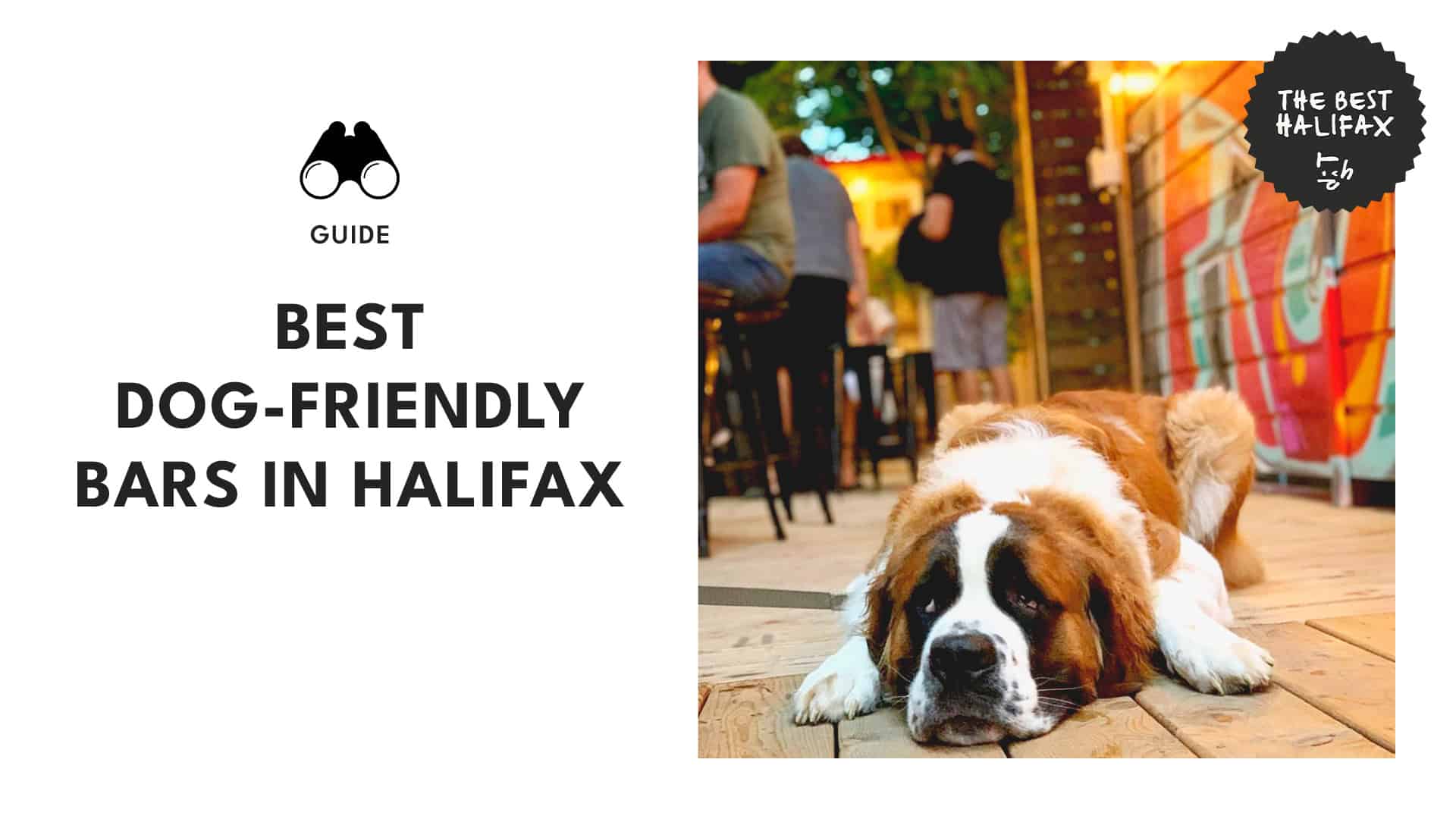 dog-friendly-bars