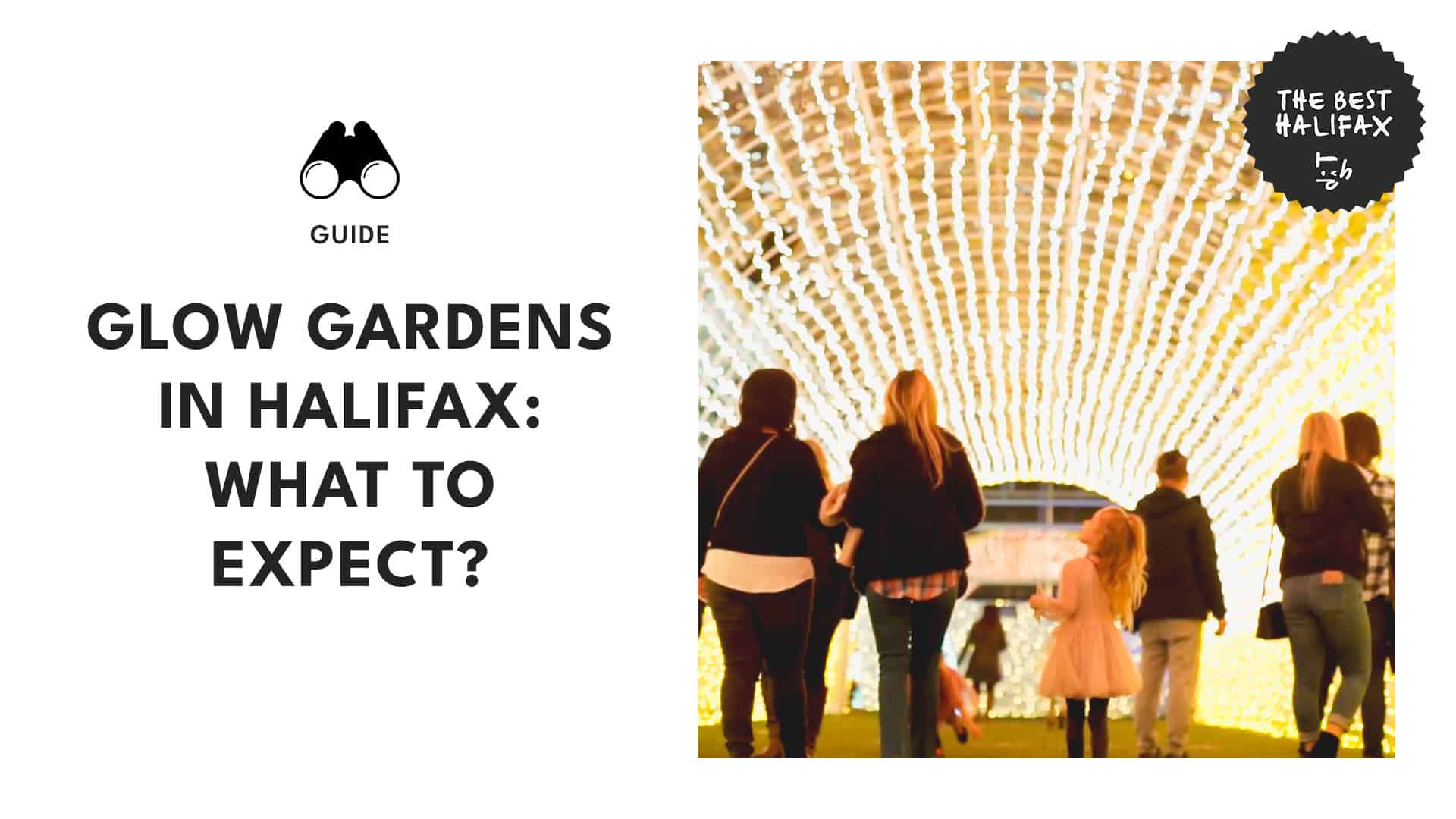 glow-gardens-halifax