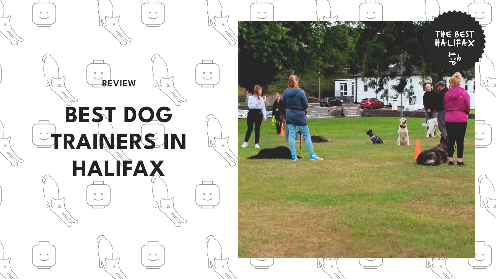 dog-trainers