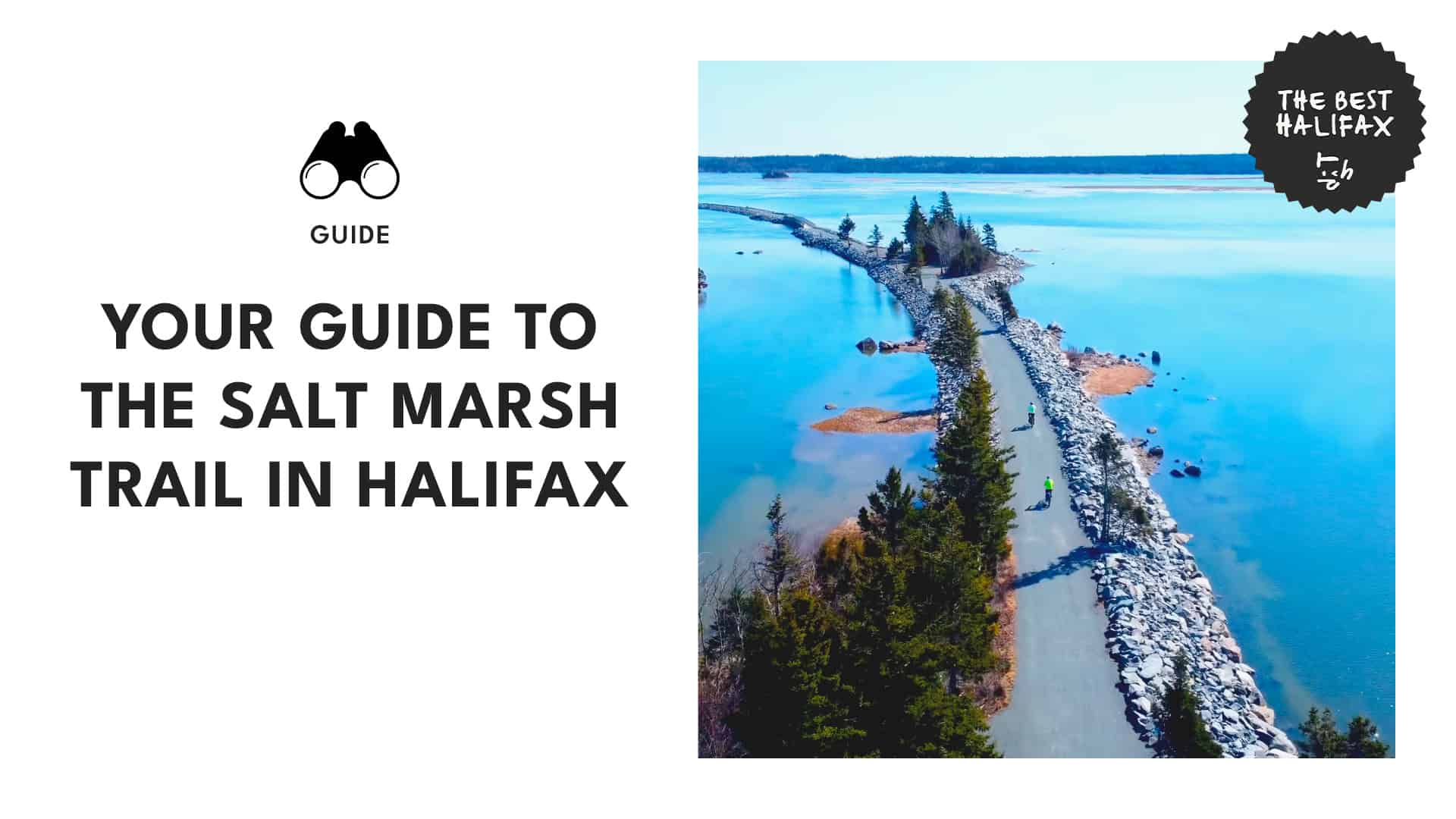 salt-marsh-trail