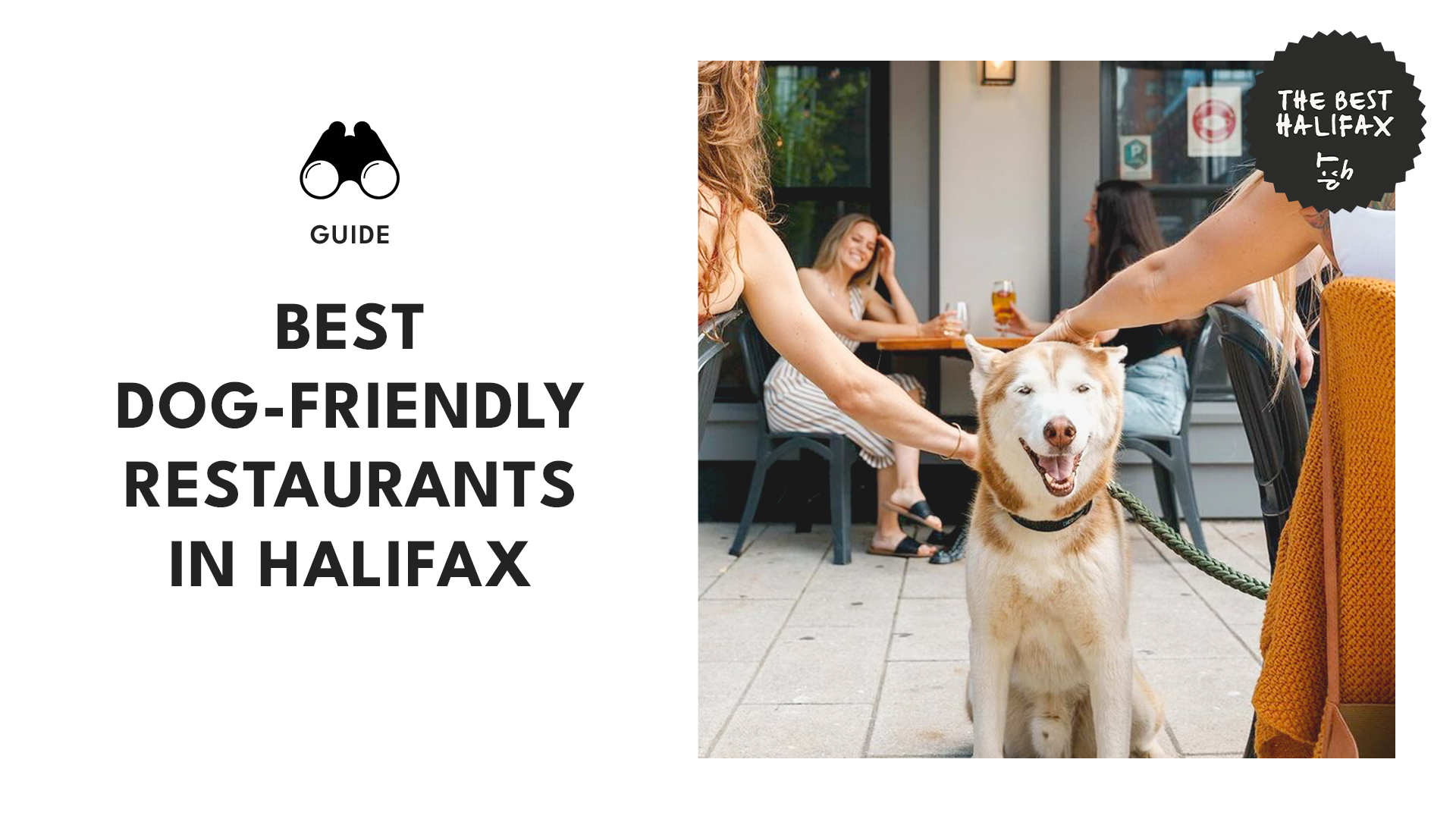 dog-friendly-restaurants-halifax
