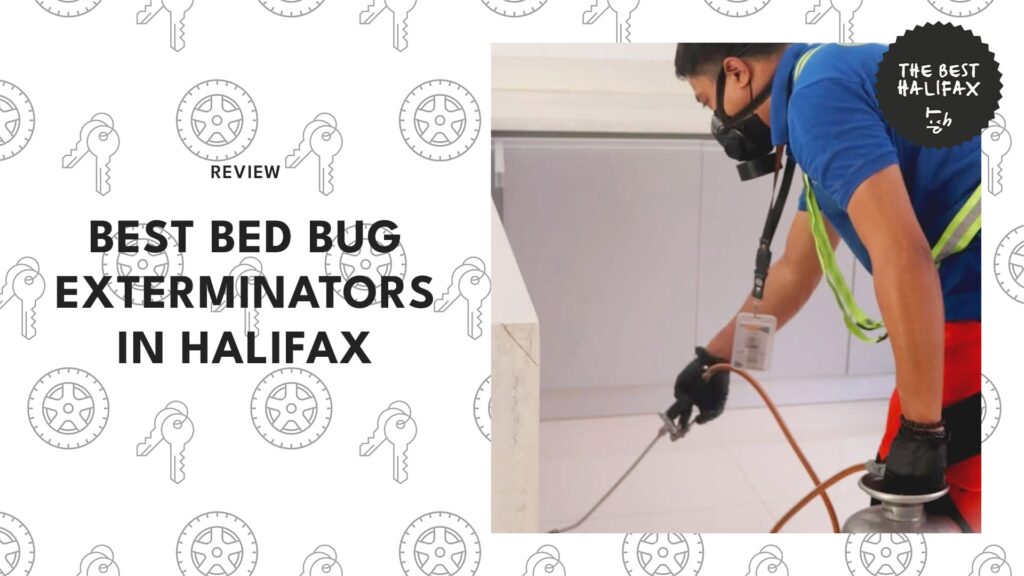 Halifax’s 5 Bed Bug Exterminators for Reliable Treatments [2026]