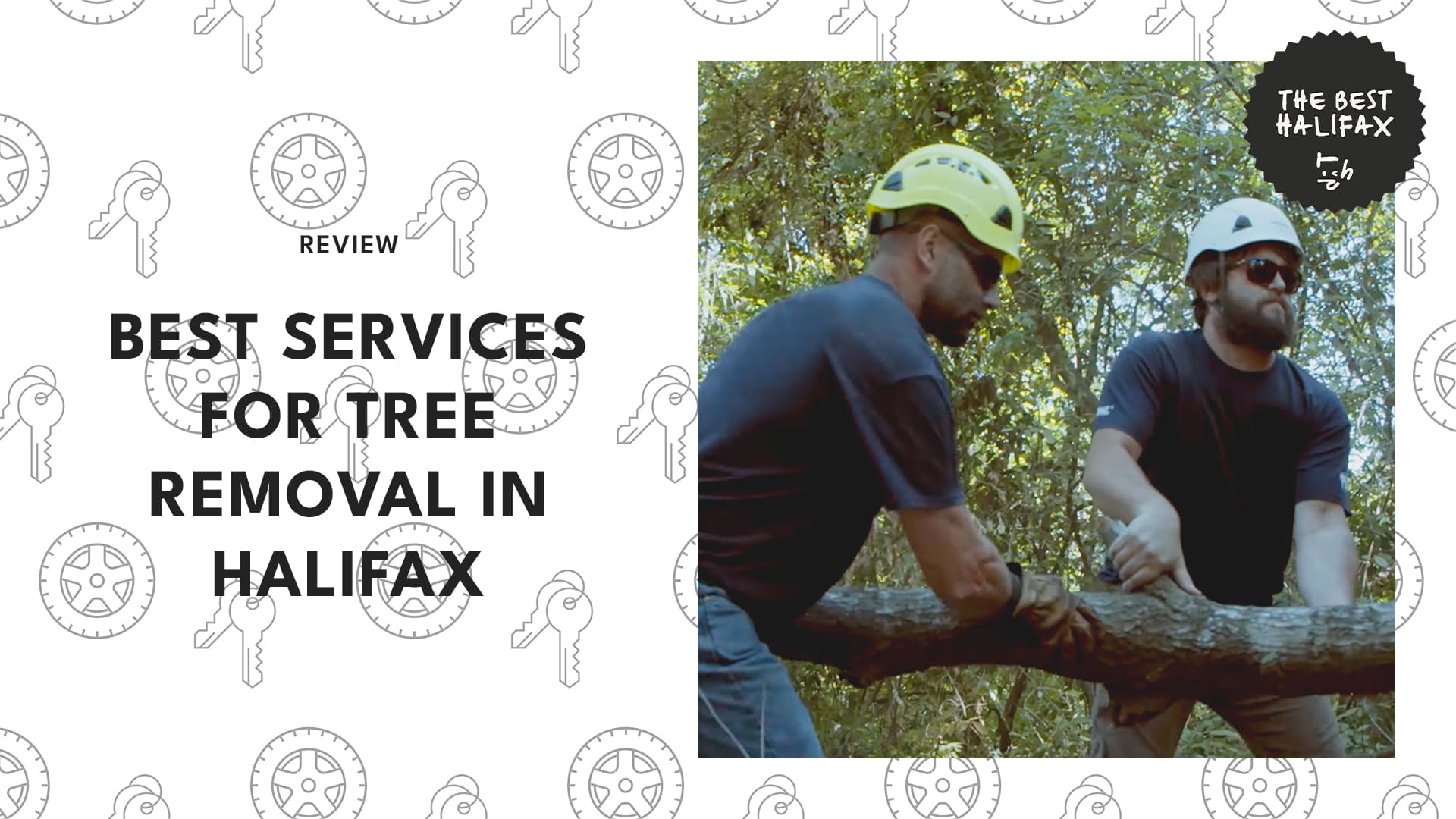 tree-removal-halifax