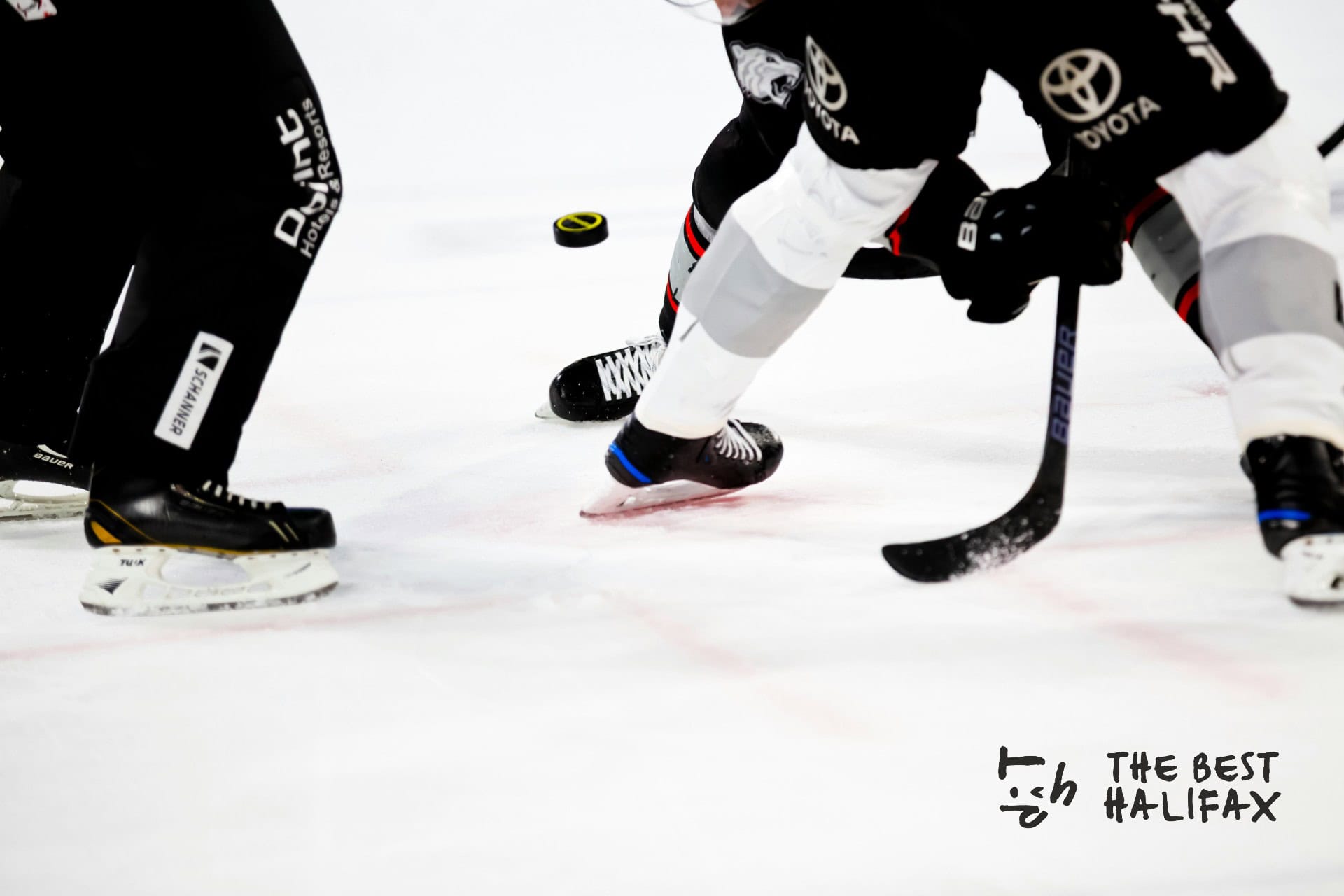 halifax-mooseheads-rematch-with-cape-breton