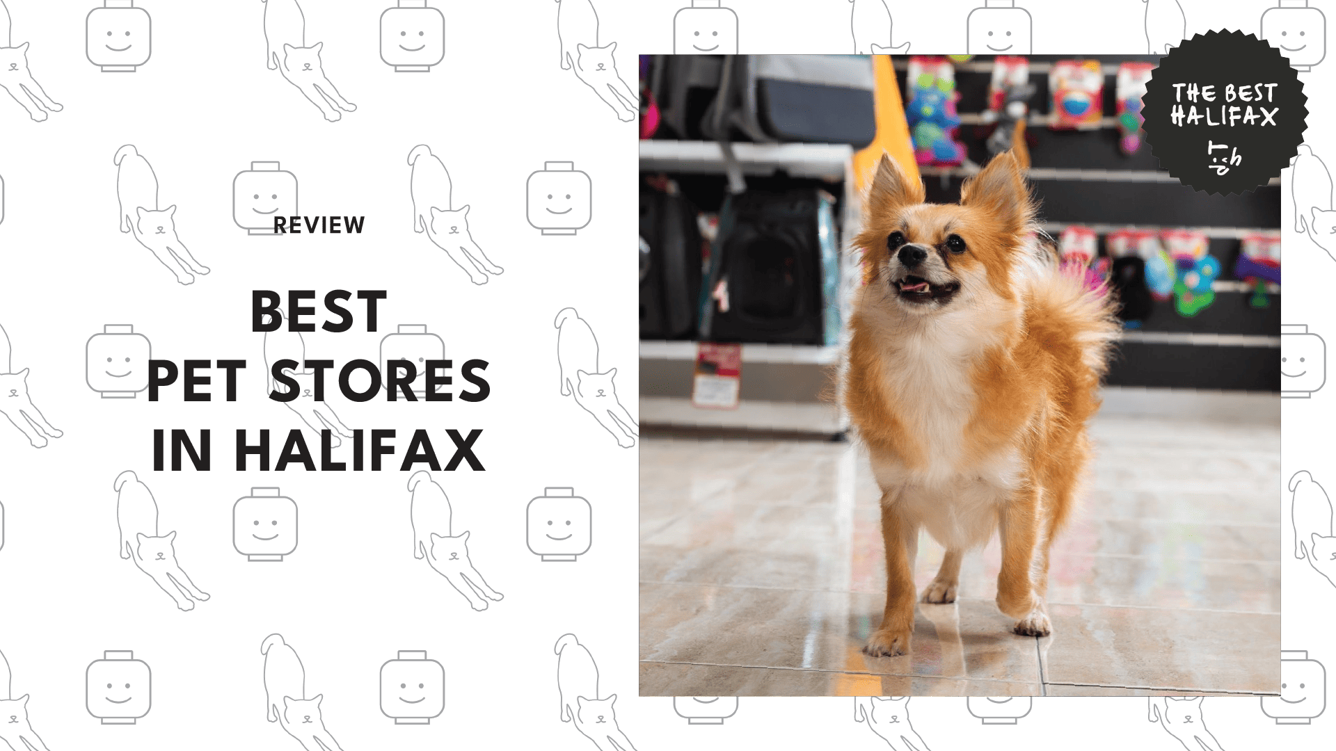 pet-store-halifax