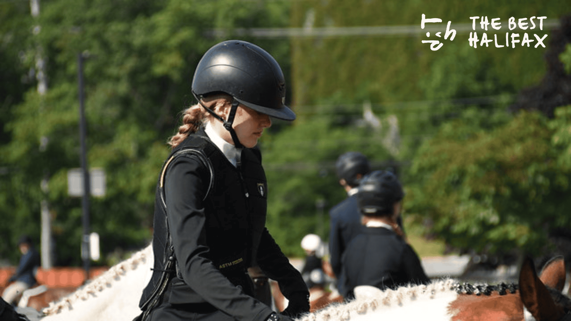equestrian-fun-at-the-dowtown-halifax-horse-show-this-july
