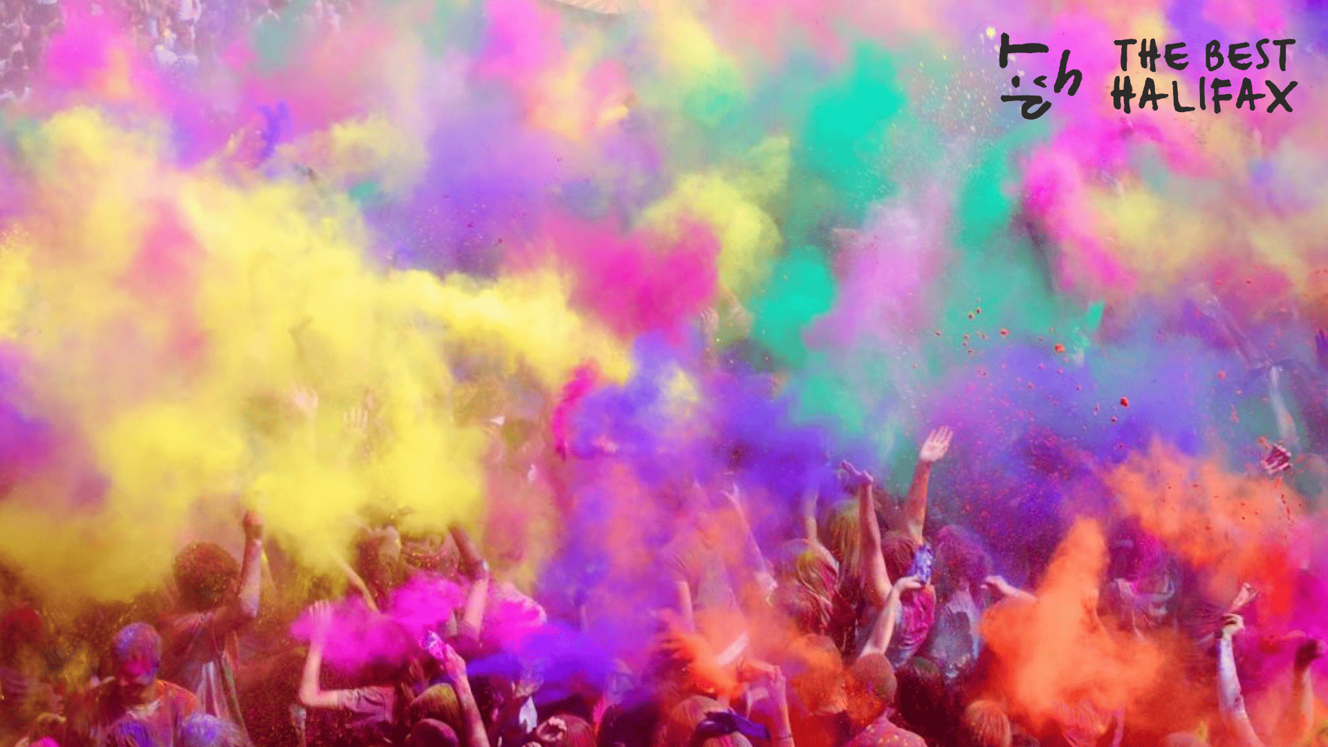 colour-festival-at-alderney-landing-halifax-this-september