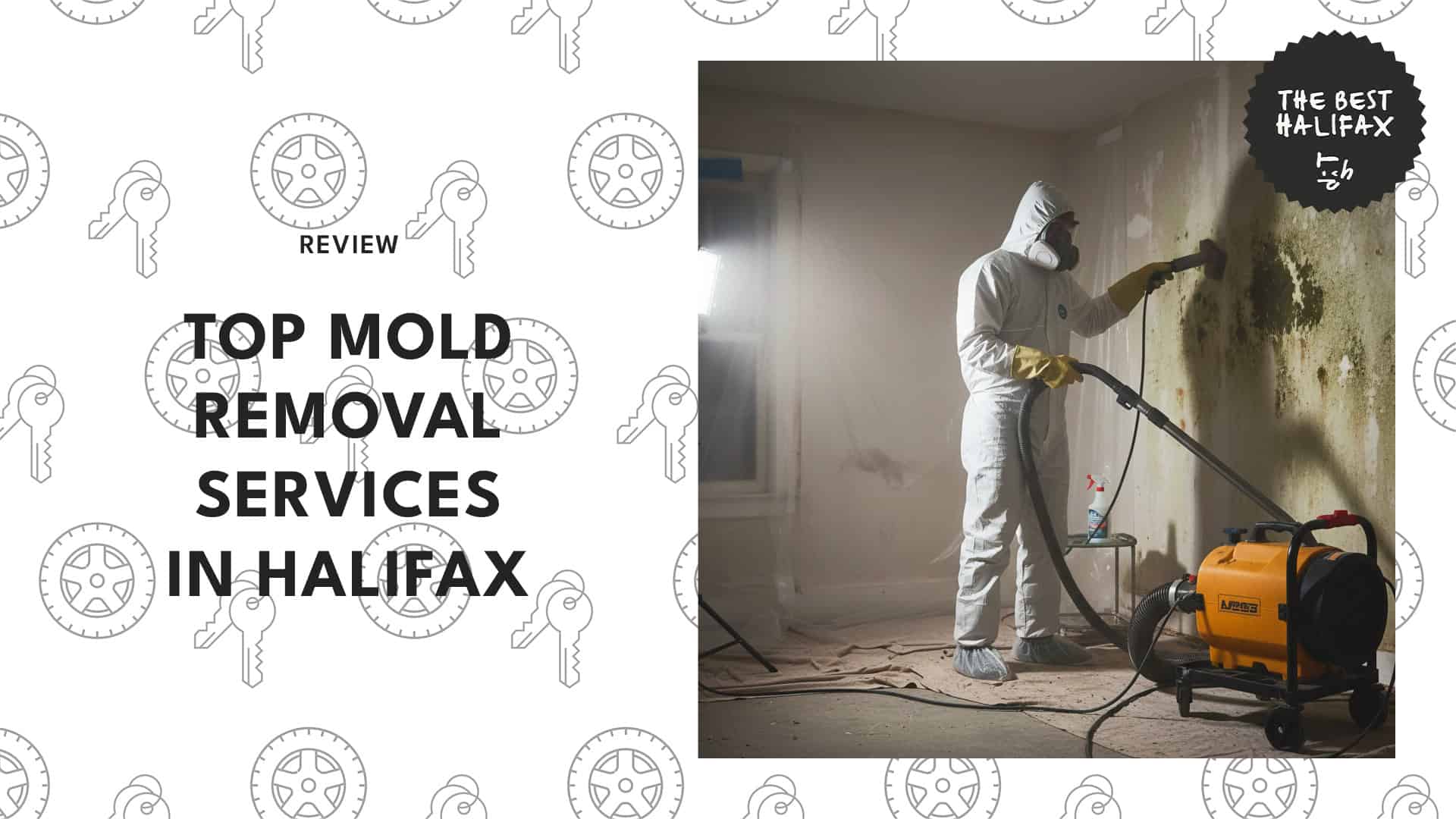 Professional Mold Remediation Service in Toms River, NJ with Over 9,000 ...