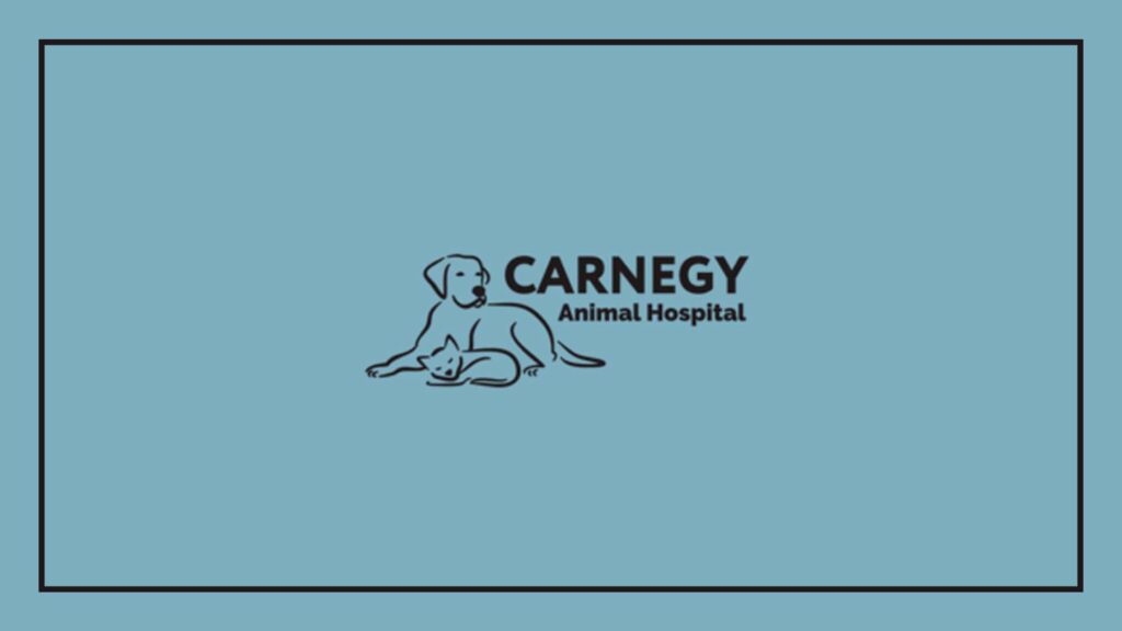 carnegy-animal-hospital