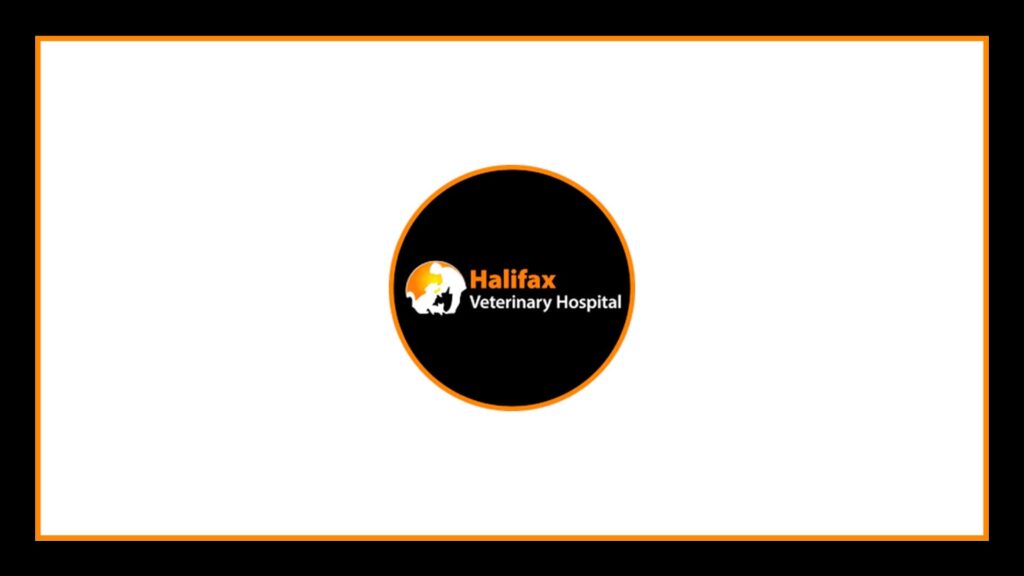 halifax-veterinary-hospital