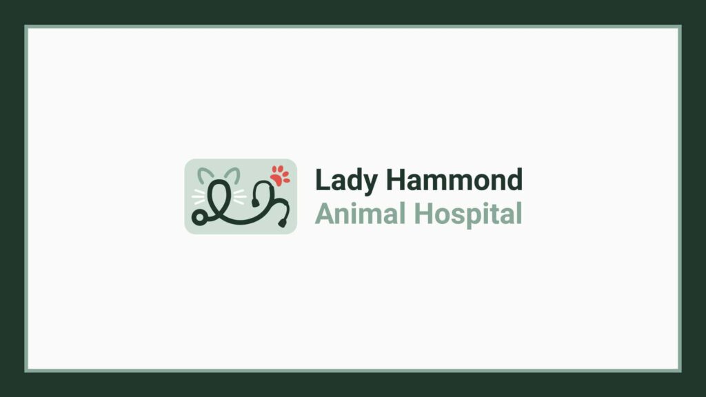 lady-hammond-animal-hospital