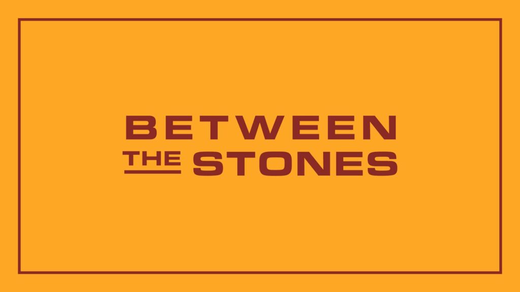 between-the-stones-landscaping