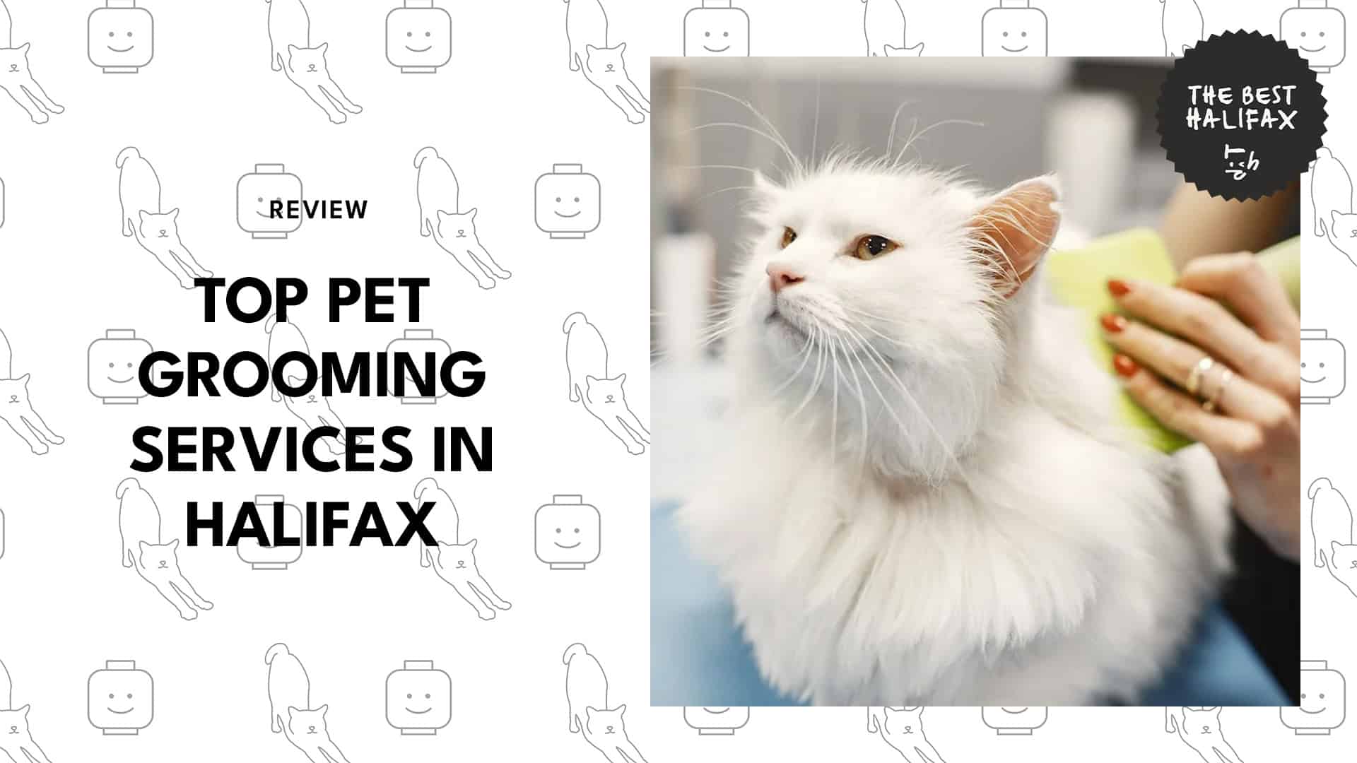 top-pet-grooming-halifax