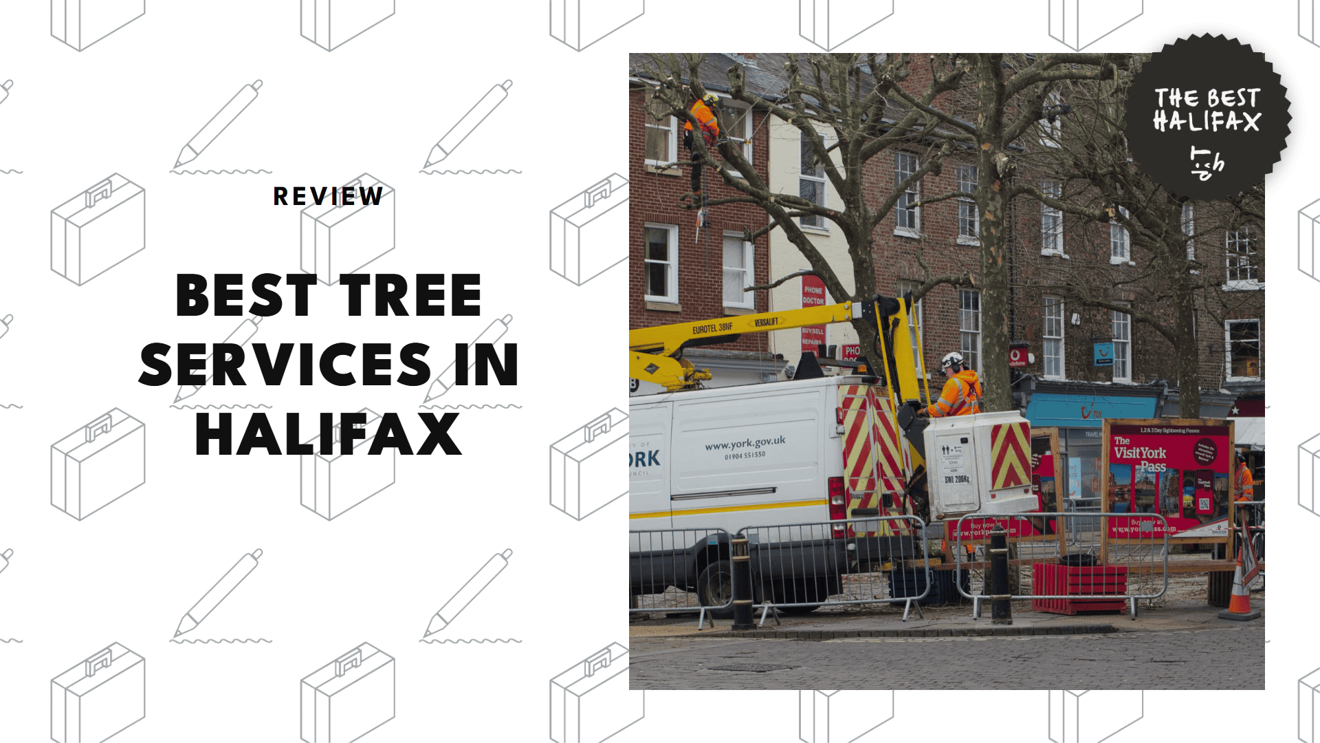 best-tree-services-halifax