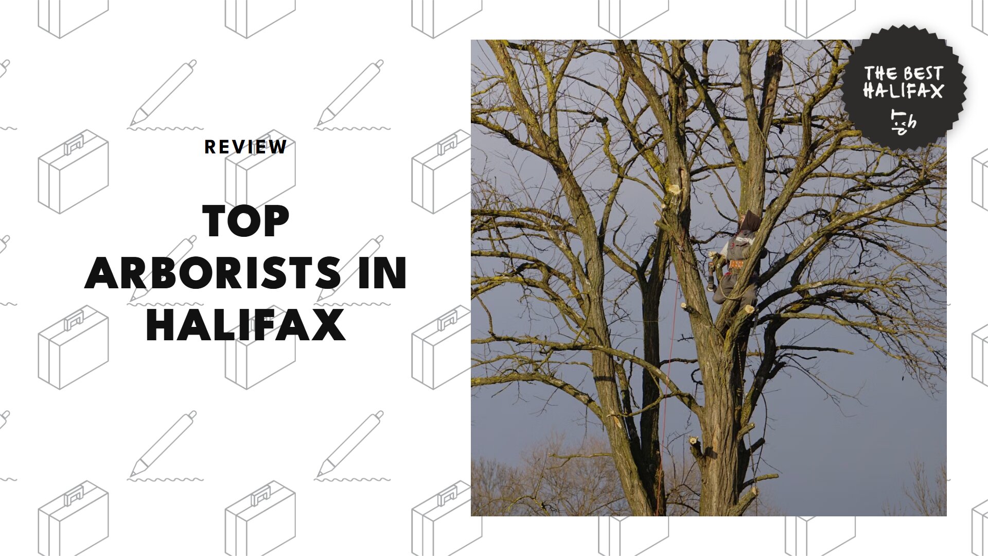 top-arborists-halifax-banner